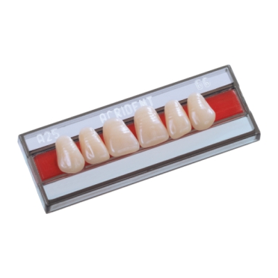 Dente Acrident Anterior/Inferior 3D Cor 66 - Protétic